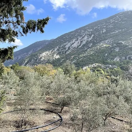 Dom wakacyjny Oliveraie En Pleine Nature - Antalya Adrasan