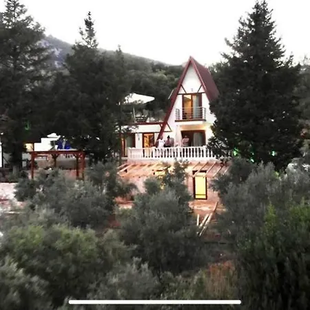 Oliveraie En Pleine Nature - Antalya Adrasan