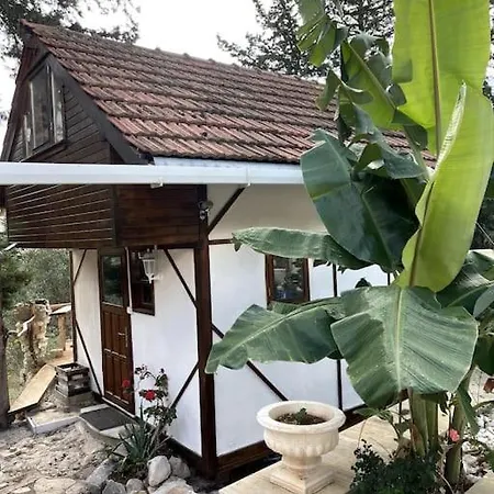 Oliveraie En Pleine Nature - Antalya Prázdninový dům *