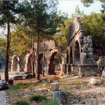 Oliveraie En Pleine Nature - Antalya Prázdninový dům