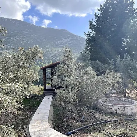 Oliveraie En Pleine Nature - Antalya