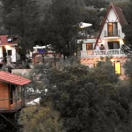 Oliveraie En Pleine Nature - Antalya * Adrasan