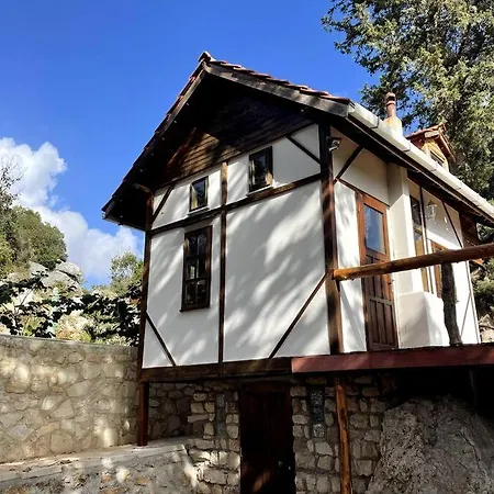 Oliveraie En Pleine Nature - Antalya Prázdninový dům