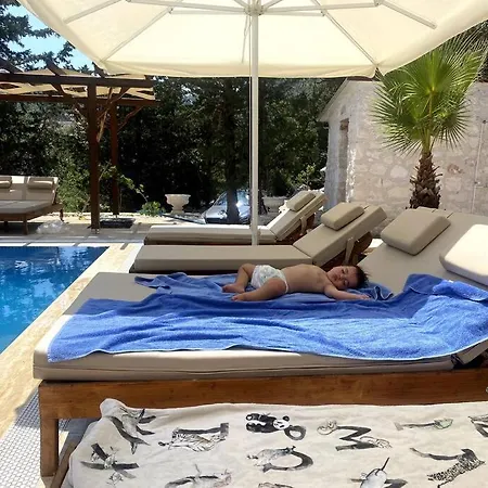 Oliveraie En Pleine Nature - Antalya